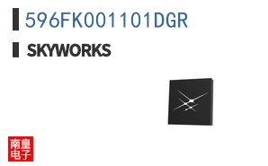 596FK001101DGR