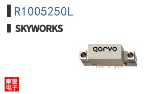 R1005250L