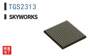 TGS2313